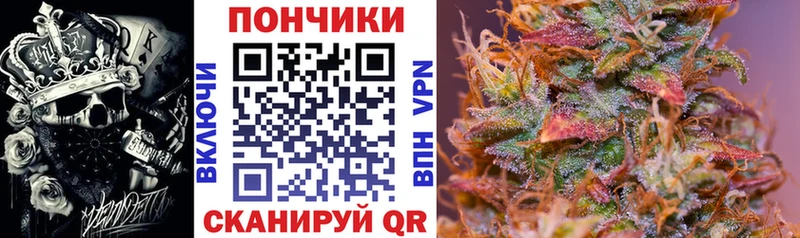 магазин продажи   Верея  Канабис план 